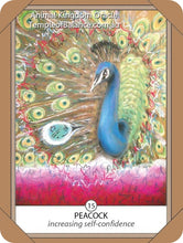 Load image into Gallery viewer, Cards - Animal Kingdom Oracle