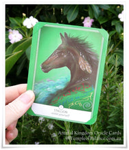 Load image into Gallery viewer, Art Print of Stallion