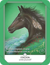 Load image into Gallery viewer, Cards - Animal Kingdom Oracle