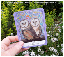 Load image into Gallery viewer, Art Print of Owls