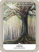 Load image into Gallery viewer, Cards - Animal Kingdom Oracle