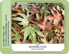 Load image into Gallery viewer, Cards - Animal Kingdom Oracle