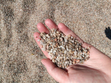 Load image into Gallery viewer, Healing Marathon - Birthing New Cycle