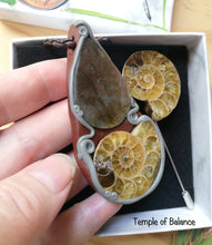 Load image into Gallery viewer, Ammonite Box Set - Pendant & pin