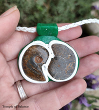 Load image into Gallery viewer, Pendant - Ammonite pair