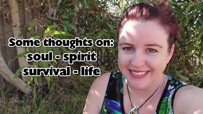 My thoughts on soul, spirit and survival