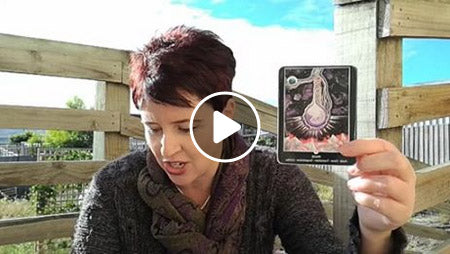 Guidance for Thu 1 and Fri 2 Feb