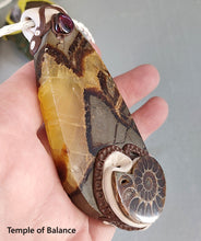 Load image into Gallery viewer, Pendant - Septarian and ammonite
