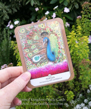 Load image into Gallery viewer, Art Print of Peacock
