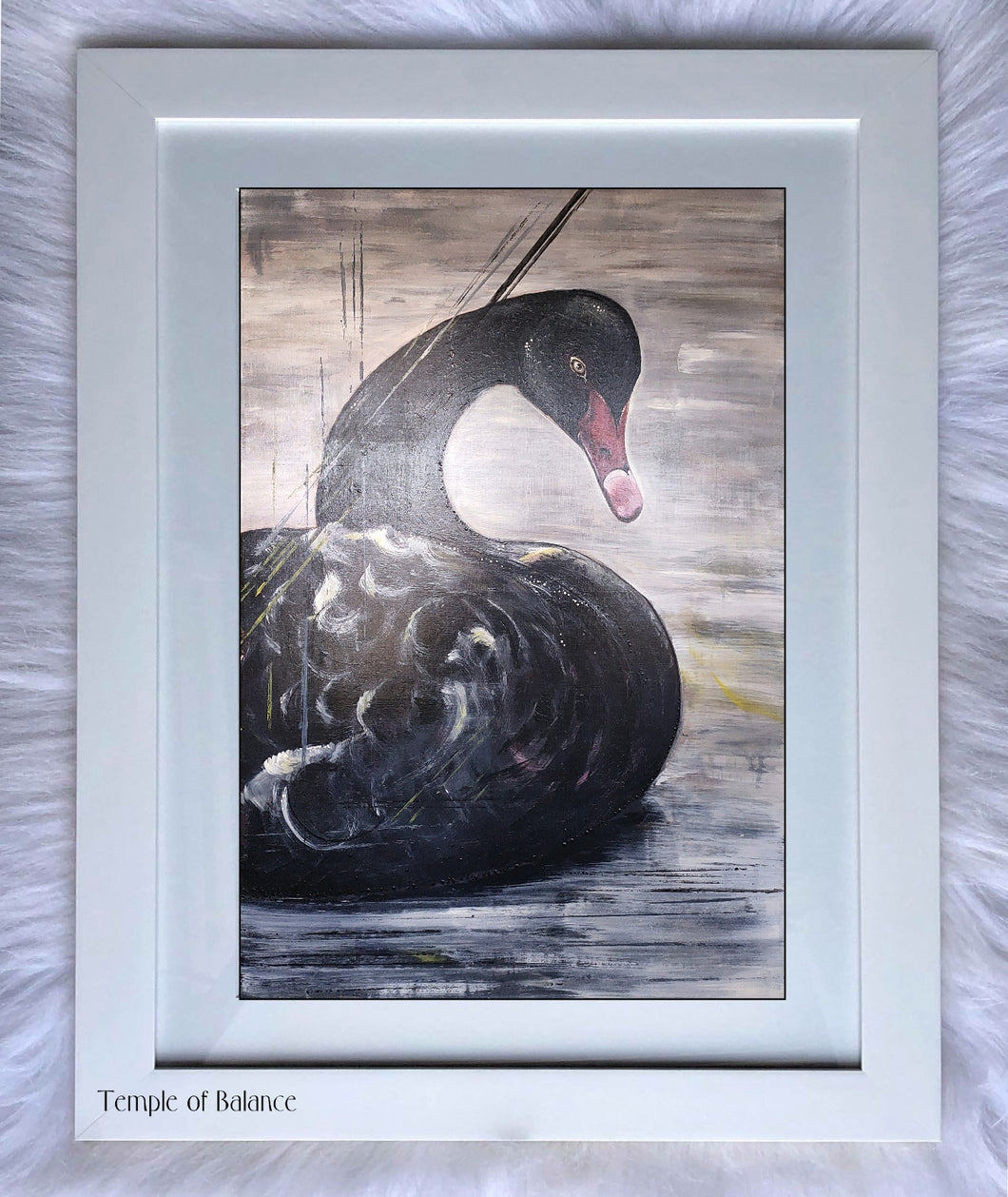 Art Print of Black Swan - Follow me