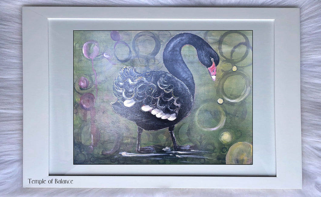 Art Print of Black Swan - Ruffles