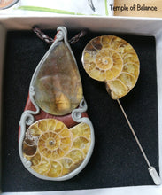 Load image into Gallery viewer, Ammonite Box Set - Pendant &amp; pin
