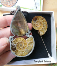 Load image into Gallery viewer, Ammonite Box Set - Pendant &amp; pin
