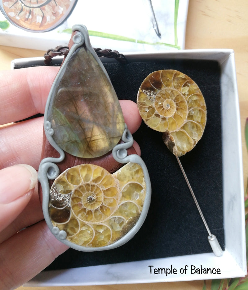Ammonite Box Set - Pendant & pin