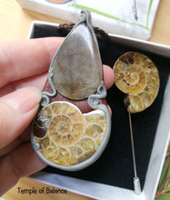 Load image into Gallery viewer, Ammonite Box Set - Pendant &amp; pin
