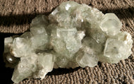 Crystal - Apophyllite Specimen