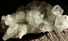 Load image into Gallery viewer, Crystal - Apophyllite Specimen
