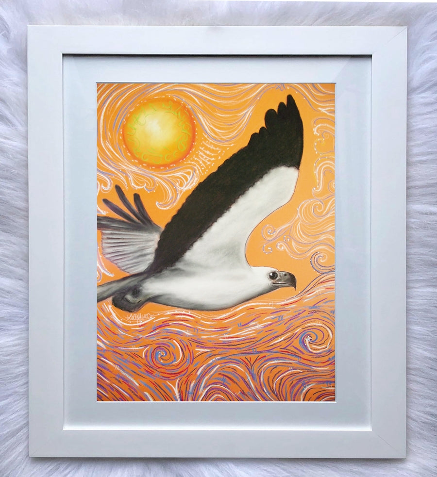 Art Print of Sea Eagle
